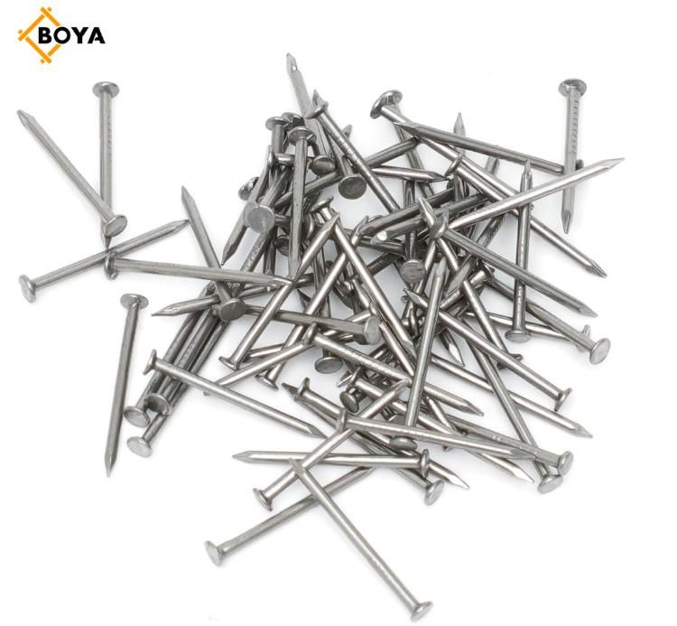 Building Nail/ Iron Nail /Common Iron Nail/Hardware Nail/Building Materials