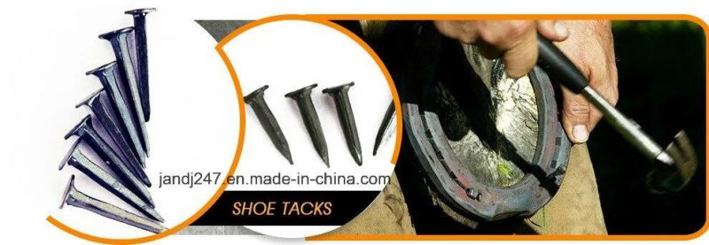 Guangzhou Sample blue Shoe Tacks 1/2"-1"