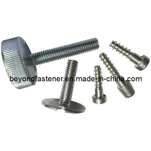 Special Screw Bolts Factory