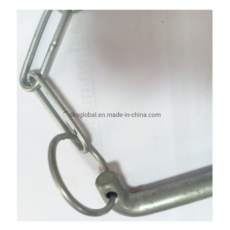 Building Material Frame Scaffolding Parts Lock Pin with Chain
