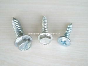 Hex Head Washer Self Tapping Screw.