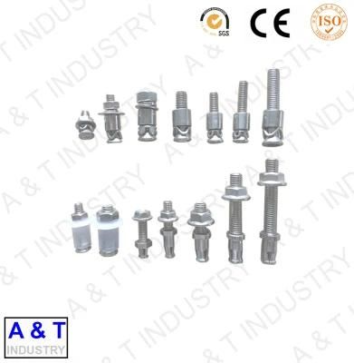 A2 A4 18-8 Stainless Steel SS304 SS316 Undercut Anchor Bolt