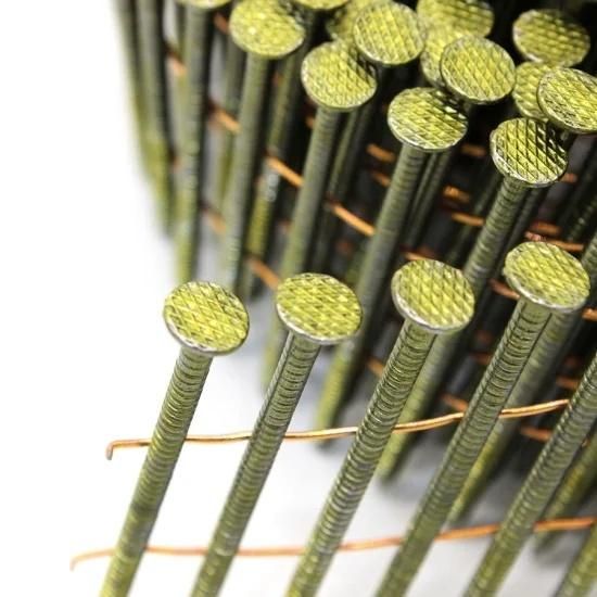 15 Degree Ring Shank Coil Nails for Fencing