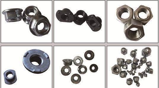 Customized Hex Nut/Hex Flange Nut/Heavy Hex Nut/Cap Nut/Round Nuts/2h Nut/Wing Nuts/Cage Nuts/Thin Nut/Nylon Nut
