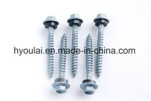 Hex Head Self Tapping Self Drilling Screw Carbon Phillips C1022 Building Material Fastener with Flanged