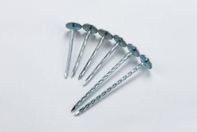 China Supplier Umbrella Head Roofing Nails Dedicated to Decoration Filed