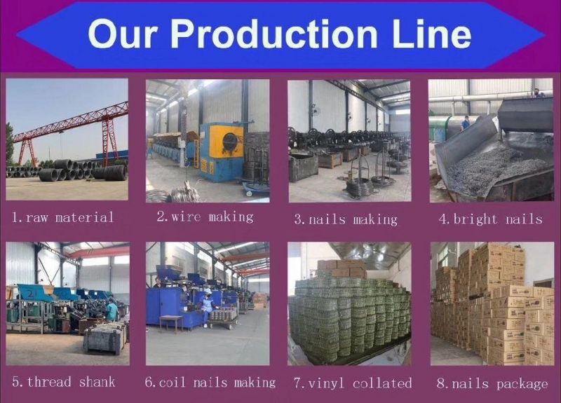 High Quality Galvanized Screw Shank Pallet Coil Nails