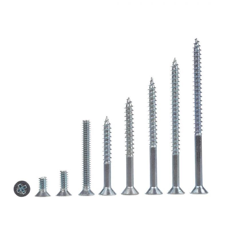 Manufacturer Self-Drilling Screws/Sheet Metal Screws/Self-Tapping Screws/Machine Screws/Core Plate Screws/Dry Wall Screw Wholesale Customization