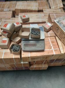 Common Iron Wire Nail Wooden Carton Packing