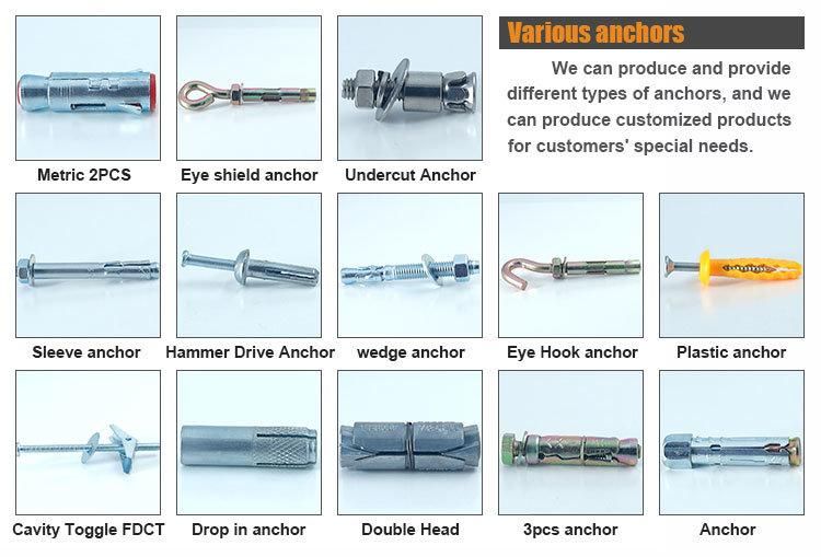 Plastic Wall Anchor with Metall Nail