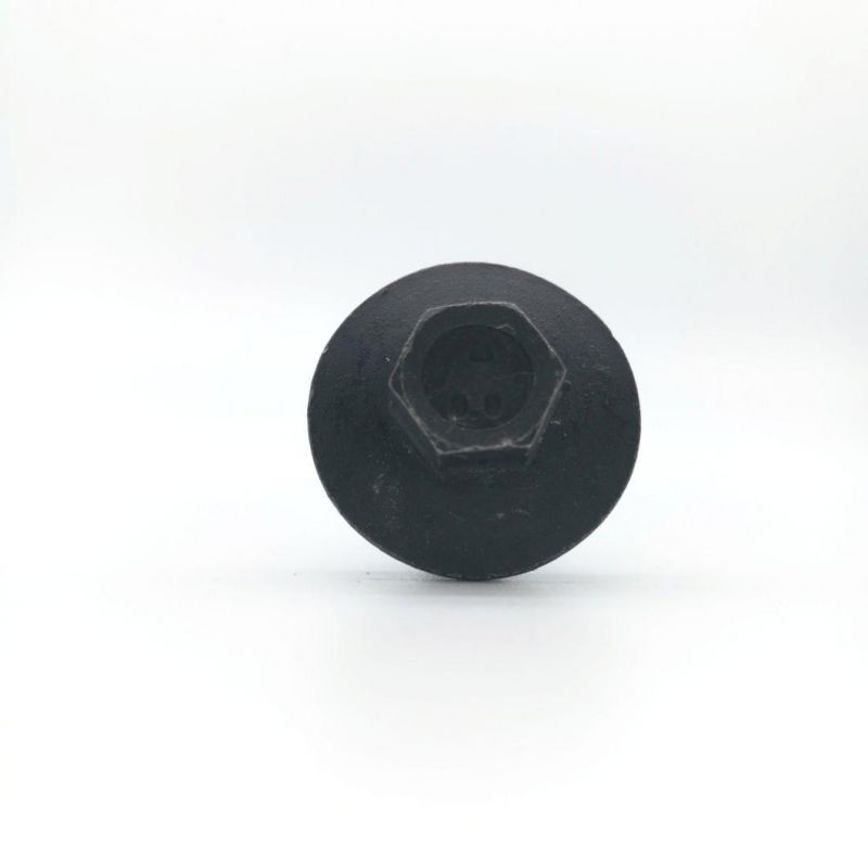 Black Finish Hex Flange Head Bolts with Dog Point