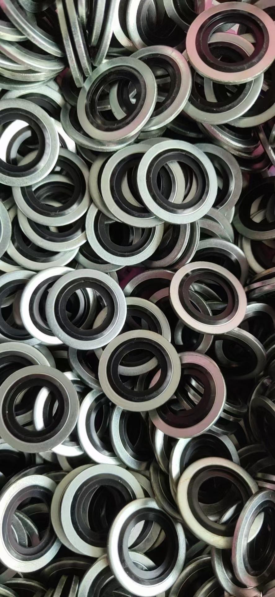 High-Quality Bonded Seal Washer Ring Seal M21