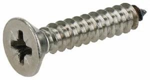 Stainless Steel Flat Head Tapping Screw