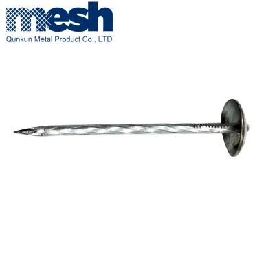 Twist Umbrella Head Galvanized Roofing Nails