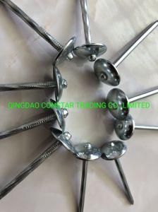 Bwg11*2.5&quot; Galvanized Smooth and Twist Shank Roofing Nails