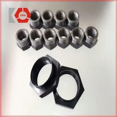 High Quality Special Thin Nuts with Black Carbon Steel with Preferential Price