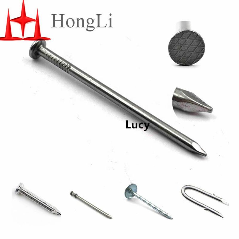 2.5 Inch Common Steel Nail Cheap Common Nail for Building