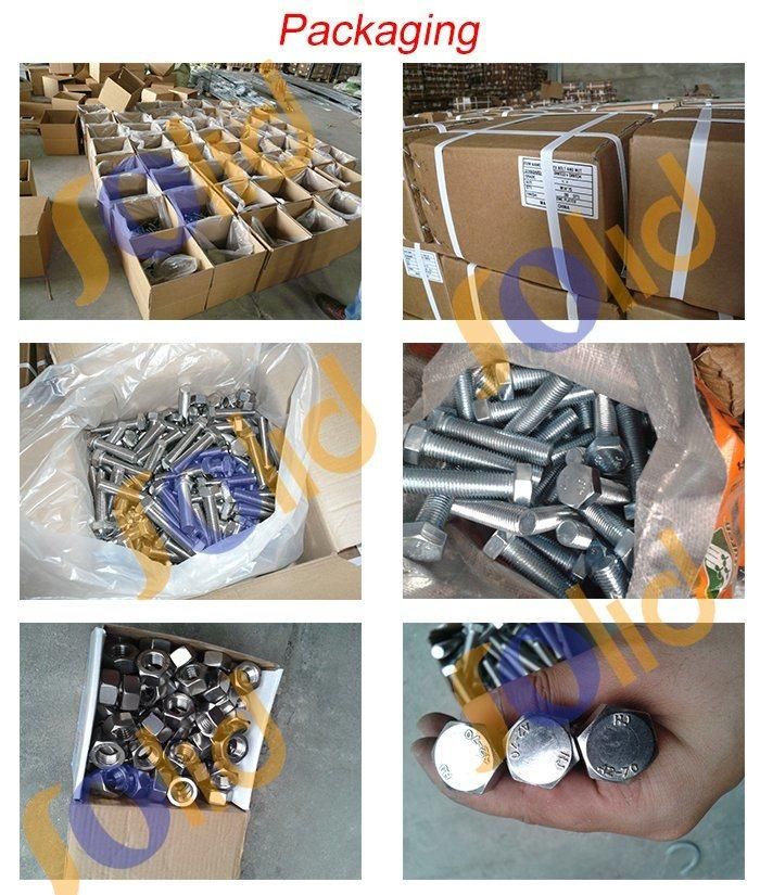 Stainless Steel Mushroom Truss Head Square Step Carriage Bolt