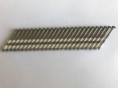 Best Quality Special Stainless Nail Coil Nail with Best Price