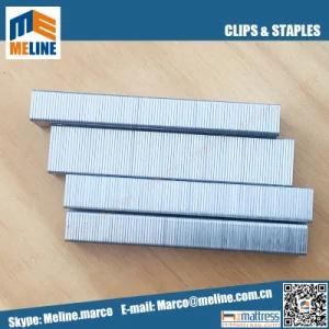 High Quality P88 or 1222j, 1215j, 1216j or 95/25 Staples for Mattress