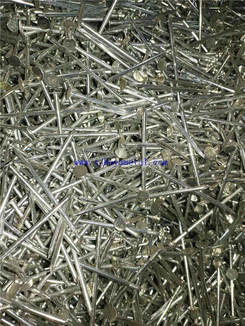 High Quality Flat Bottom Hat China Factory Polished Galvanized Building Furniture Common Round Big Head Clout Nail