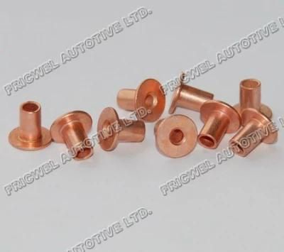Fricwel Auto Parts Rivet Pop Rivet Sizes Steel Pop Rivets Large Rivets Dt-Bq