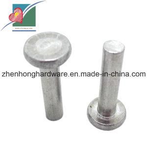 Flat Head Aluminum Rivet Factory Direct Rivets Fasteners (ZH-RS-003)