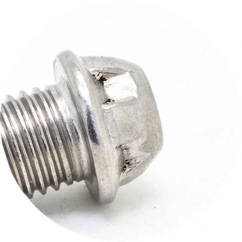 Stainless Steel 304 or 316 Custom Flange Head Screw/Customize Screw
