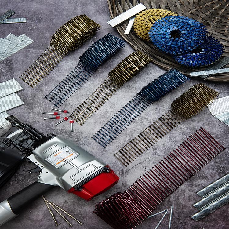 Common Wire Zinc Roofing Finish Coil Nails Concrete Nails