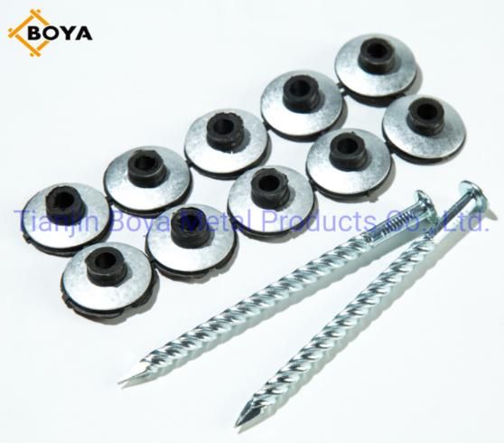 Galvanized Assemle Roofing Nail/Umbrella Nail/Pallet Nail/Iron Nail/Hardware/Building Nail