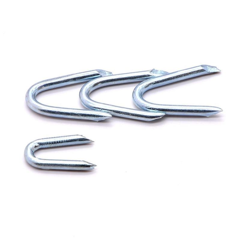 Construction Level Barbed U Shape Iron Wire Nail Common Diamond Sharp U Type Nail