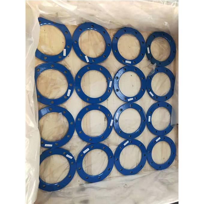 Custom Carbon Steel Blue Painting Plate Flange