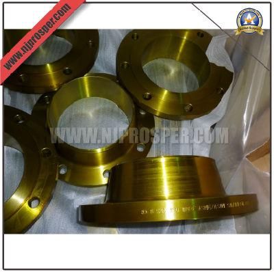 Alloy Steel Welding Neck Flanges (YZF-F159)