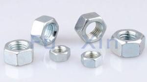 Hex Nuts (DIN 934)