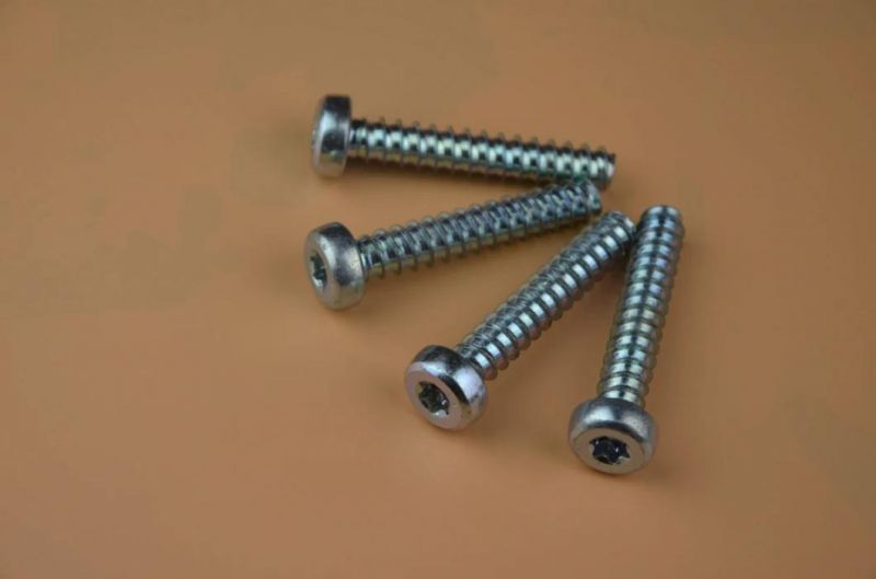 Electrodeposition Coated Screw 2′′