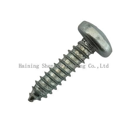 Hardware Fasteners Phillips Recess Pan Head Self Tapping Screws DIN7981