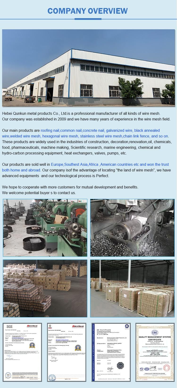 Wholesales Electro Galvanized Roofing Nails