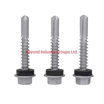 Self Drilling Screw Factory China