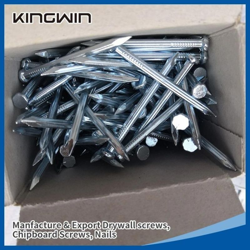 Factory Wholesale 1"-4" Box Packing Qualified Zinc Coated Electric Galvanized / Black Concrete Nails for Africa Nigeria / Ethiopia Market with White Blue Color