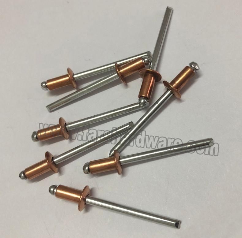 China Rivet Fastener of Metal Rivet