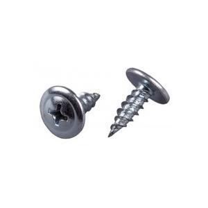 DIN7504-N Truss Head Selfdrilling Screw with Preferential Prcier and High Quality