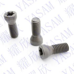 M2.0X5 M2.2X5 M2.2X6 M2.2X8 Torx Screws for Indexable End Mill