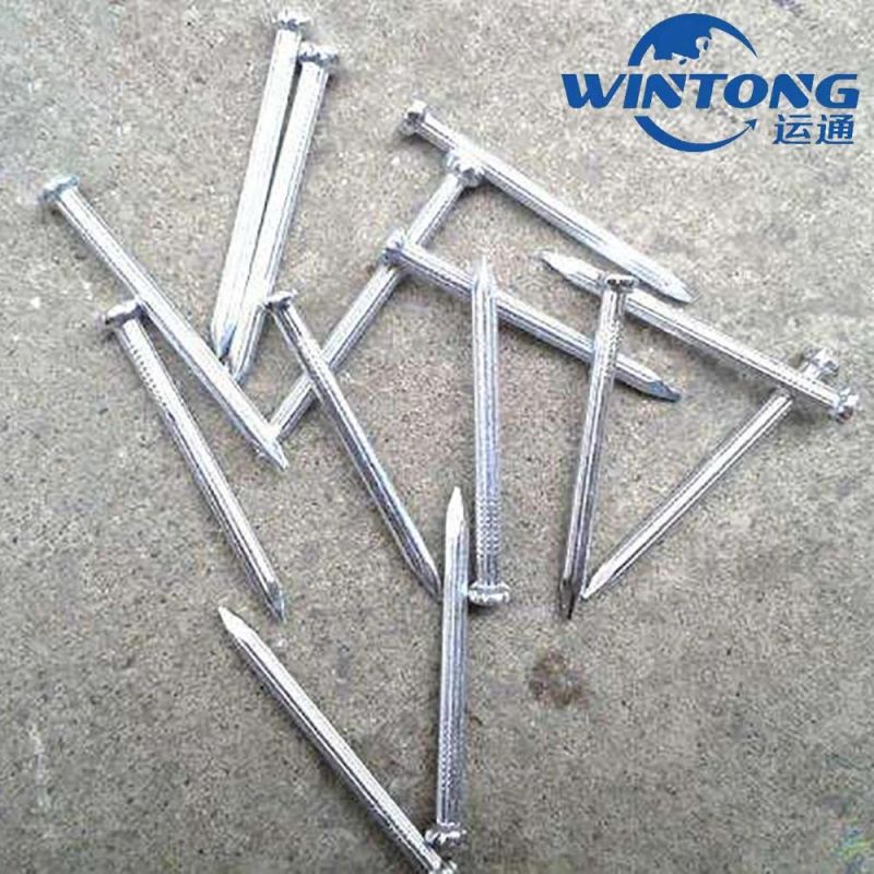 Straight Grain Cement Nail Processing, Production of Electro Galvanized Cement Nails