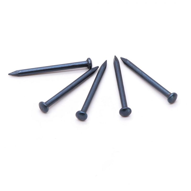 Best Quality Black Steel Concrete Nails 1"-4" Concrete Nails South Africa Market