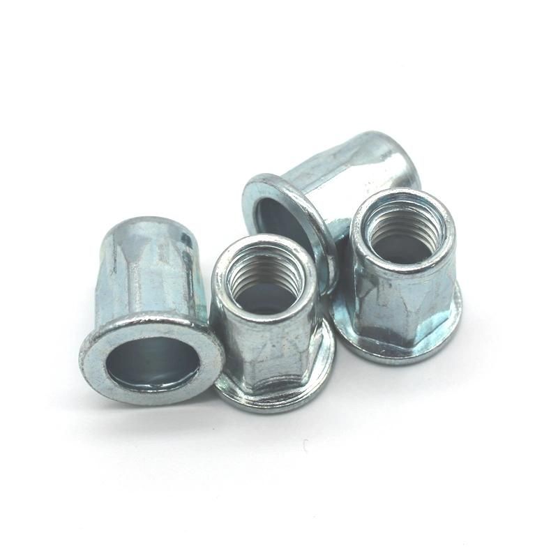 DIN Stainless Steel Hex Insert Nut Rivet Nuts