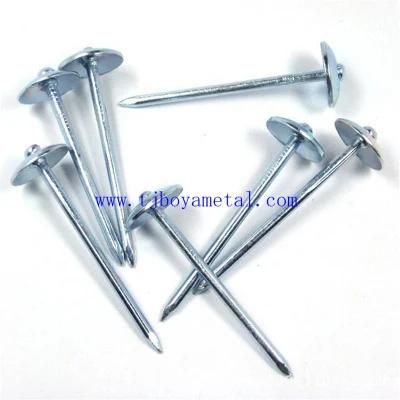 Bolivia Market Calamina Clavos Galvanized Umbrella Head Roofing Nails