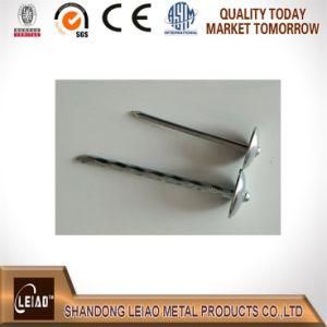 Hot Sale Galvanized Umbrella Head Roofing Nail