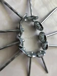 Roofing Nail with Umbrella Head in Electro Galvanized