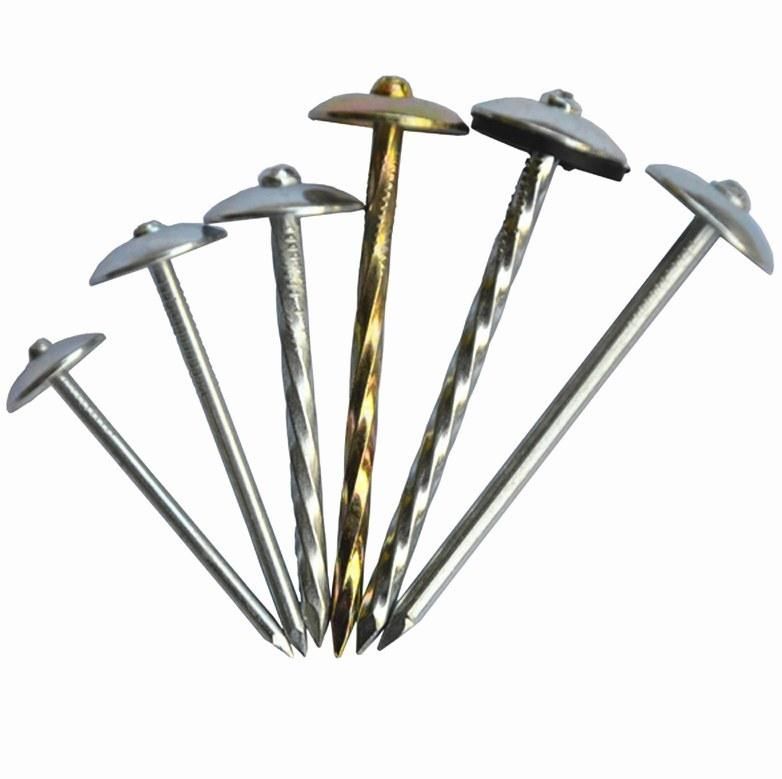 Zinc-Plated Mushroom Head Galvanized Roofing Nail in Guangzhou