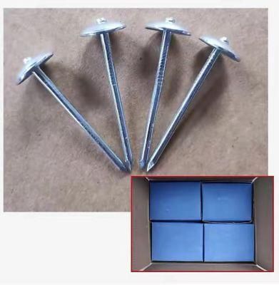 2&quot; Small Packing Umbrella Head Roofing Nails for The Supermarket